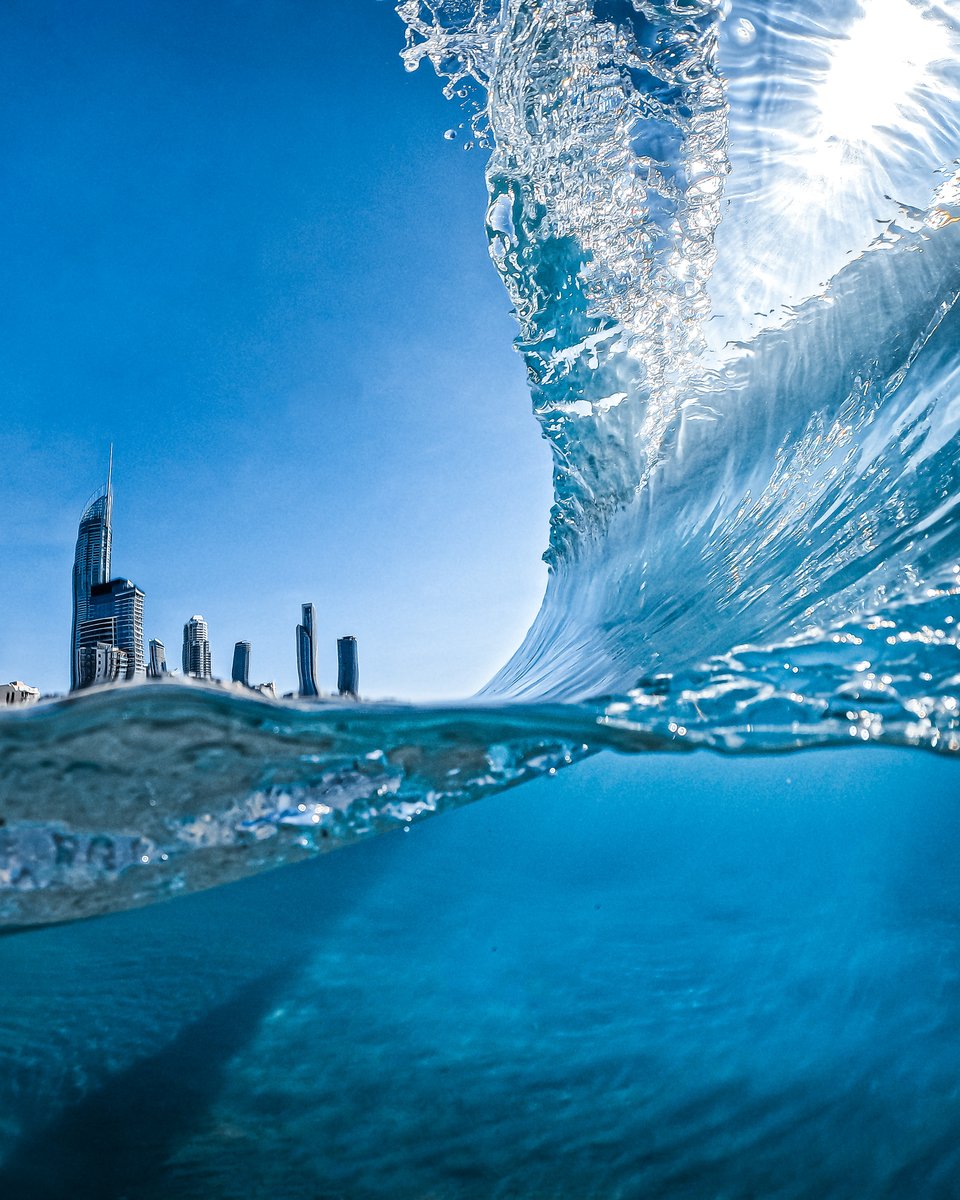 GoPro tweet media