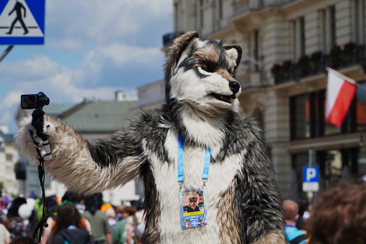 Bakus AnthroWolf tweet media