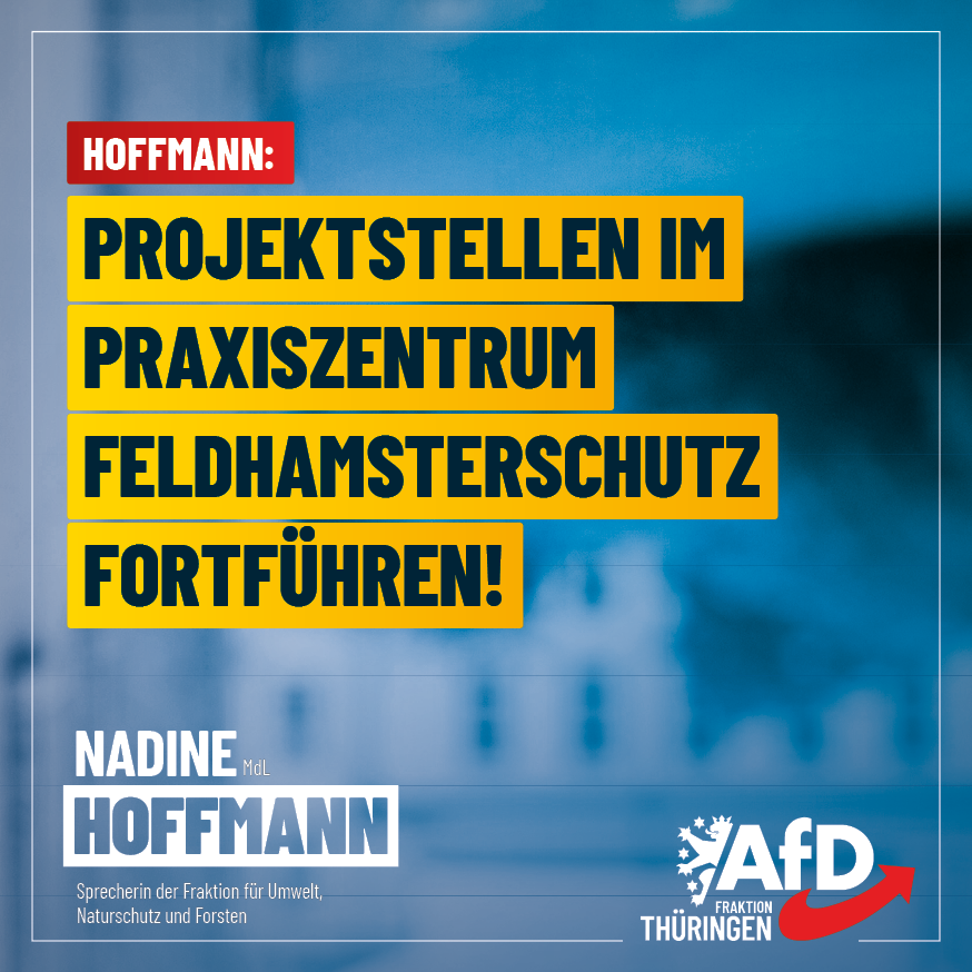Nadine Hoffmann MdL tweet media