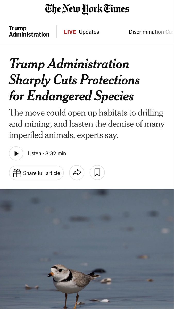 michaeloliss's tweet photo. Finally! #trump has promised to personally drown endangered birds in a pool of oil “Michael Vick style.” #maga 

 https://t.co/BFIUYggXFu https://t.co/wWigVPZrS4