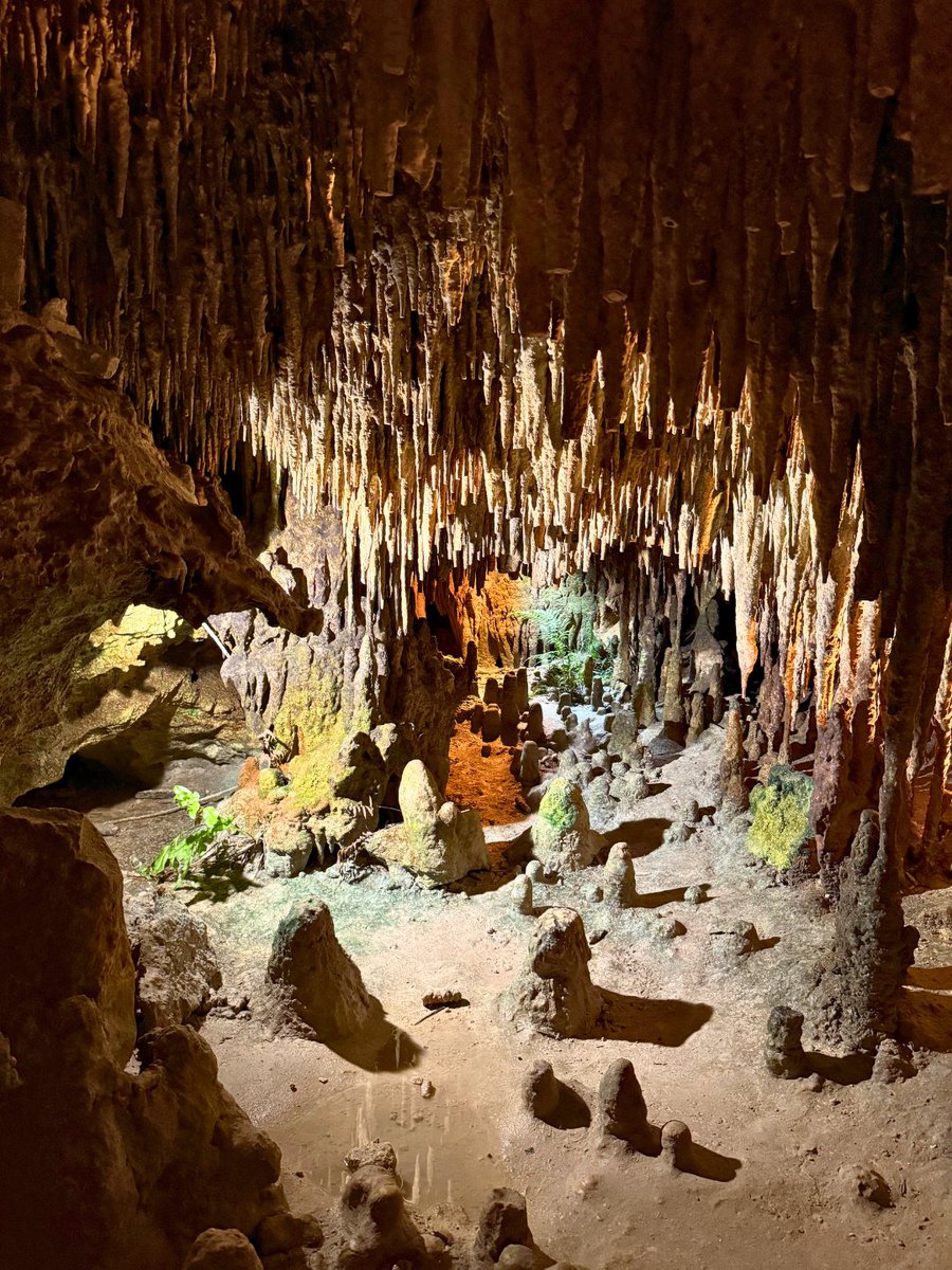 XplorPark's tweet photo. Recordatorio de cuidar las estalactitas y estalagmitas que forman las cavernas de Xplor. https://t.co/JDMVJQqVQr