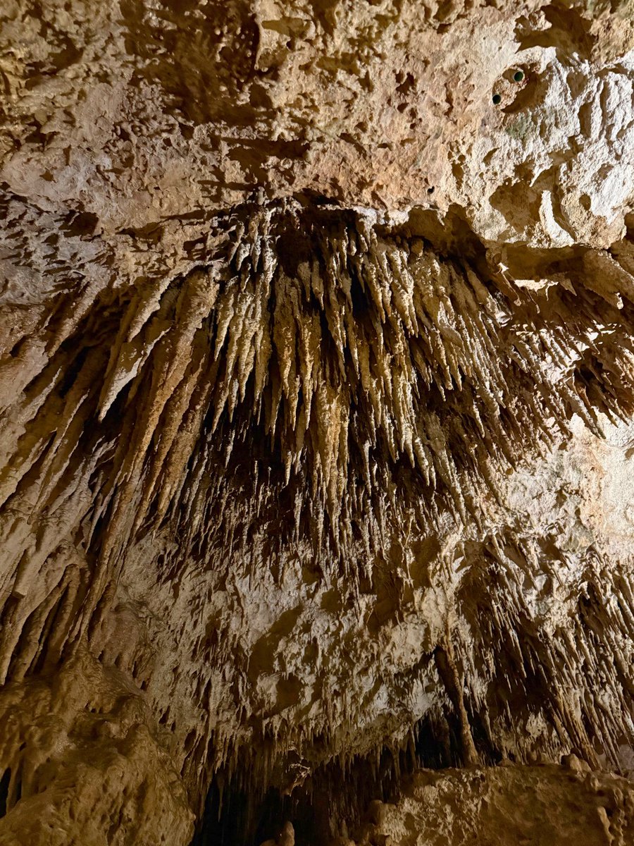 XplorPark's tweet photo. Recordatorio de cuidar las estalactitas y estalagmitas que forman las cavernas de Xplor. https://t.co/JDMVJQqVQr