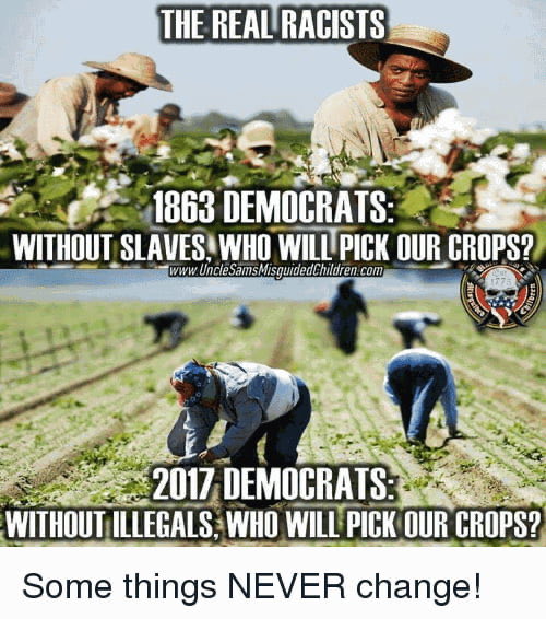 OfficerK16's tweet photo. @BlauWeissDrache Weil Democrats sein wie die wahren Rasissten https://t.co/ctJ0FXJ9Ec