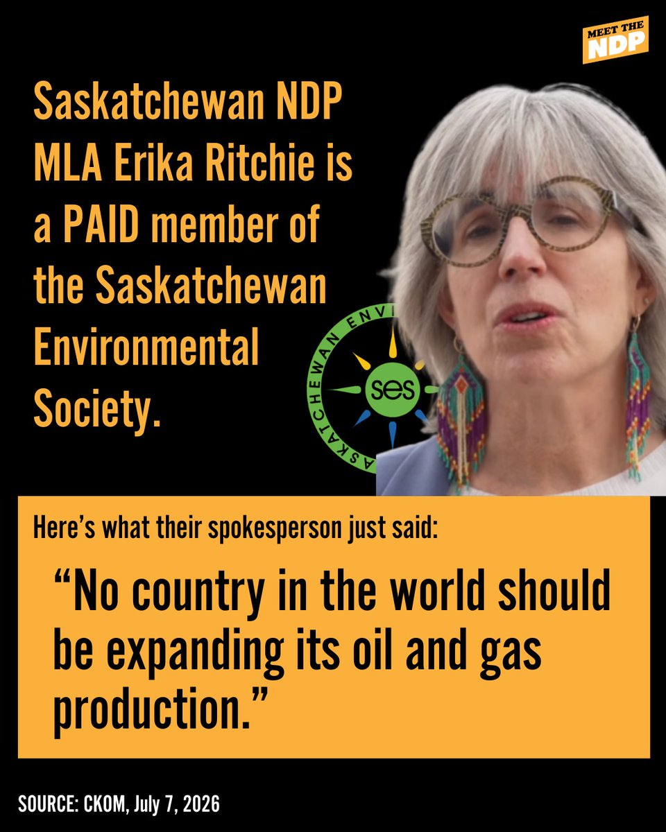 Meet the NDP tweet media