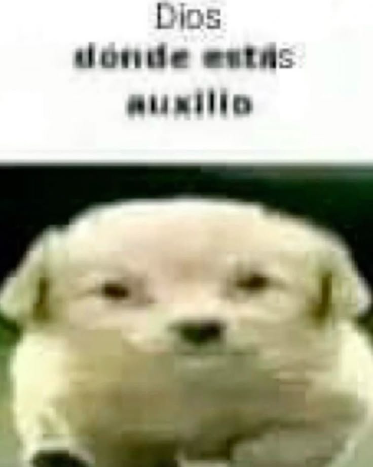 _moonvanna's tweet photo. No es excusa, pero creo que ya va a valer vrg mi compu😭
Y apenas le andaba moviendo al krita https://t.co/lpYPvw58WG