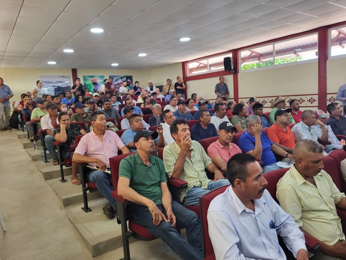 agriculturaGro's tweet photo. En la Representación Estatal Guerrero de la Secretaría de Agricultura, acudimos al municipio de Atoyac de Álvarez, para la entrega a 90 acreditados sus cartas finiquito del programa "Volver a Crecer"
#VolverACrecer
@Claudiashein https://t.co/2YNURG67O9