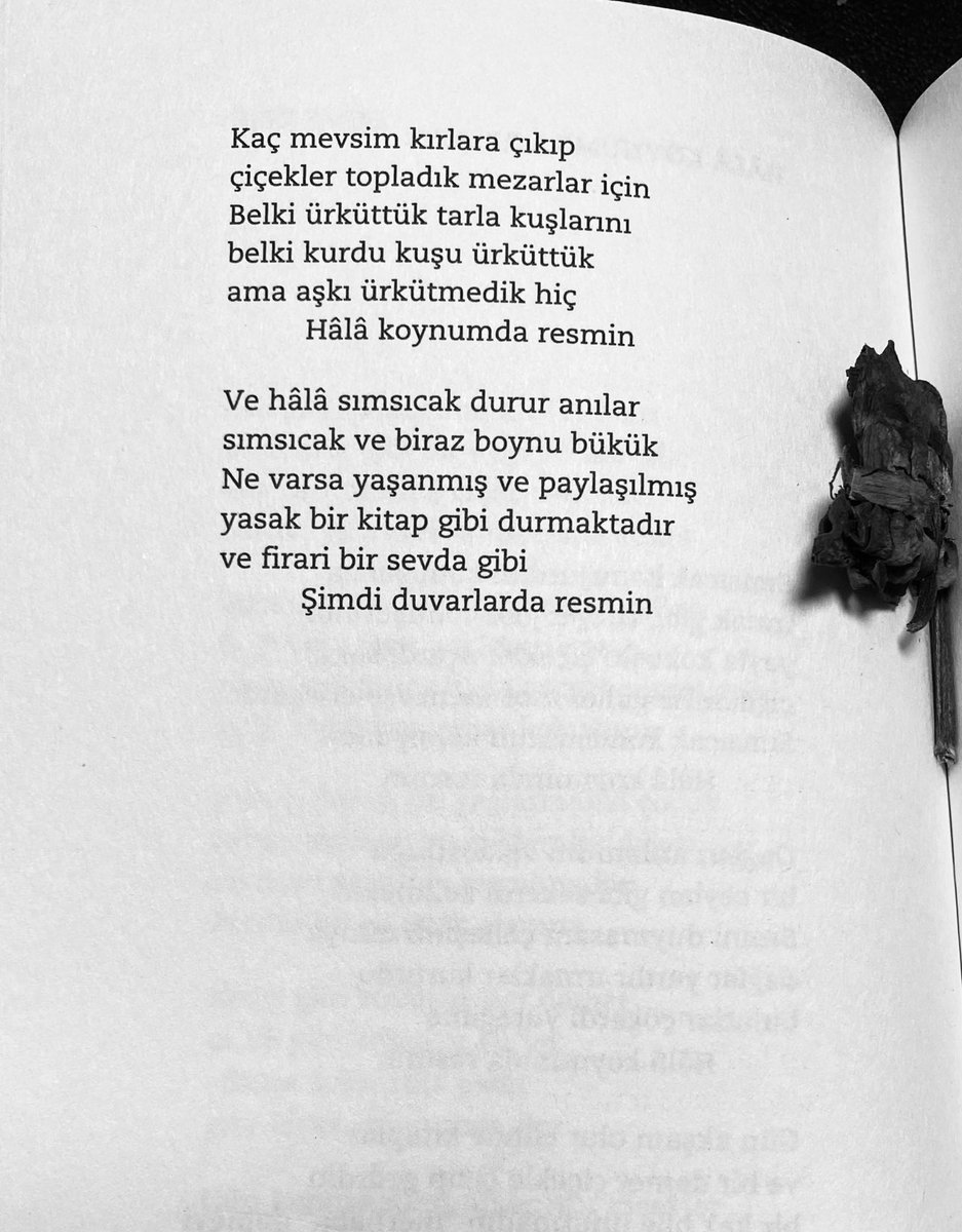 Botaniiko's tweet photo. Ve hâla sımsıcak durur anılar 
Sımsıcak ve biraz boynu bükük

Ahmet Telli https://t.co/2supwmWIY8