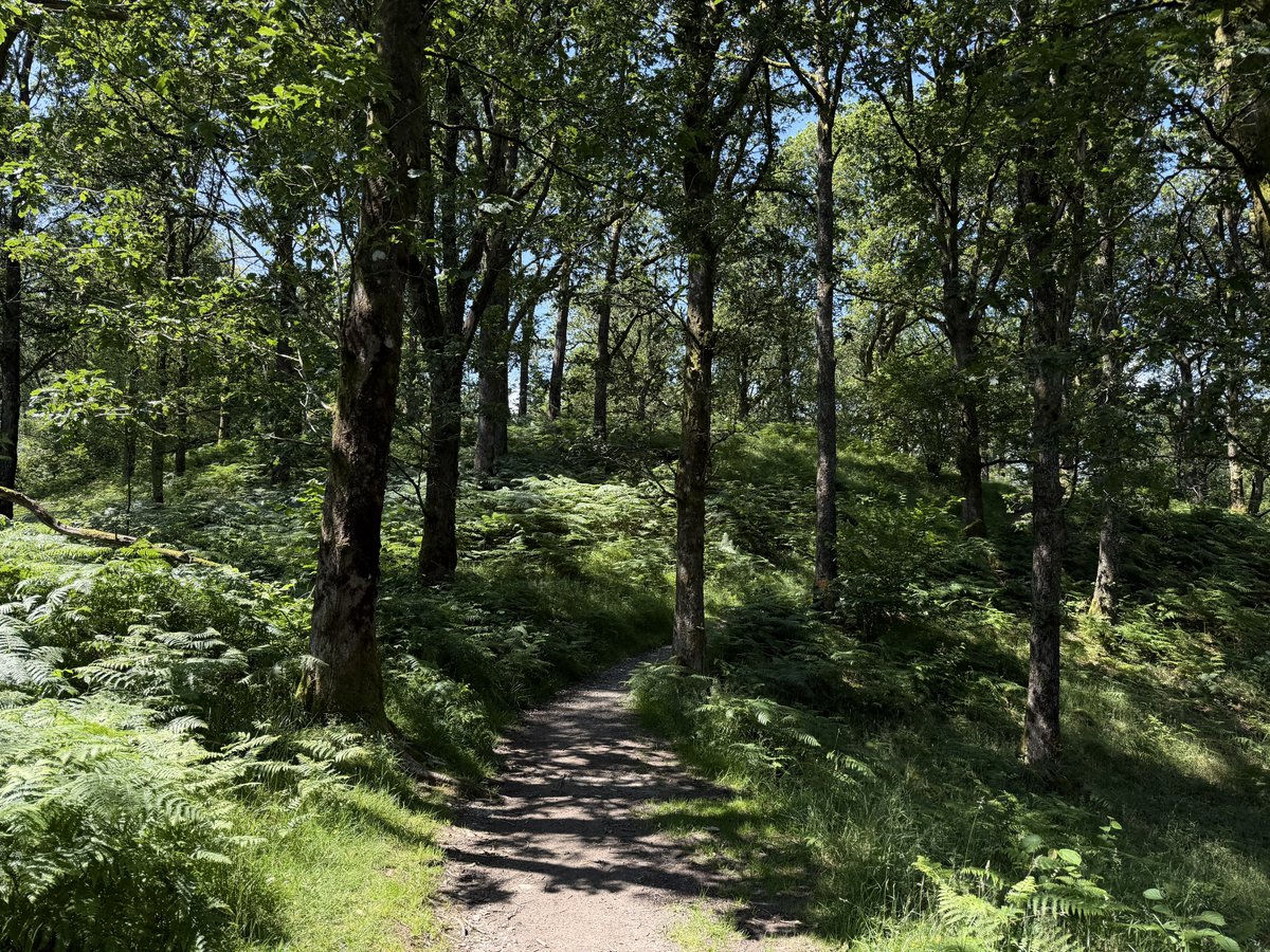hikingshawty's tweet photo. today i walked seven miles and i had pizza for dinner <3 https://t.co/vBuZtxnsK0