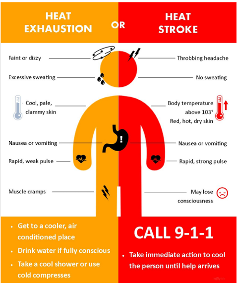 1justcity's tweet photo. With extreme summer temperatures expected over the next few days, we encourage everyone in our community to stay safe. Visit https://t.co/gV6SHKlF85 to access End Homelessness Winnipeg’s Extreme Weather Summer Response Guide, which includes information about available supports. https://t.co/FaaviB2BB7