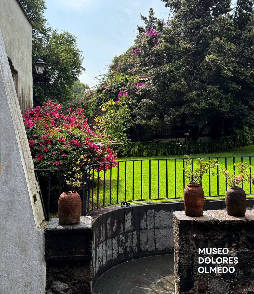 elolmedo_mx tweet picture
