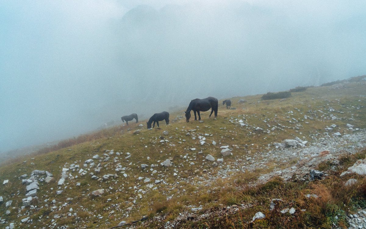 jeffmihaly's tweet photo. Scenes from the Italian Dolomites https://t.co/kHCLDCqh81