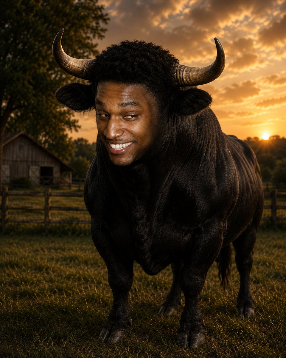 Ibraheem 🐂 🀄️ tweet media