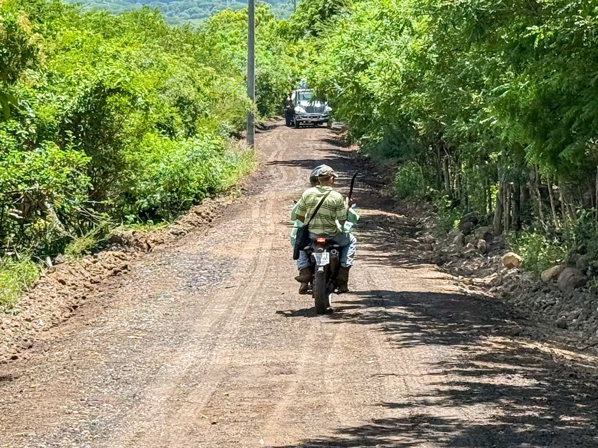 ALEXTORRES_SMC's tweet photo. 🚜 Más calles en mejores condiciones para nuestra gente.

Realizamos trabajos de reparación y mantenimiento vial en los caseríos El Pital y Santa Fidelia, cantón La Puerta, mejorando el paso para quienes transitan por la zona.

#LoImportanteEsLaGente https://t.co/SpT1S5O7mw