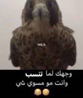 ًً tweet media