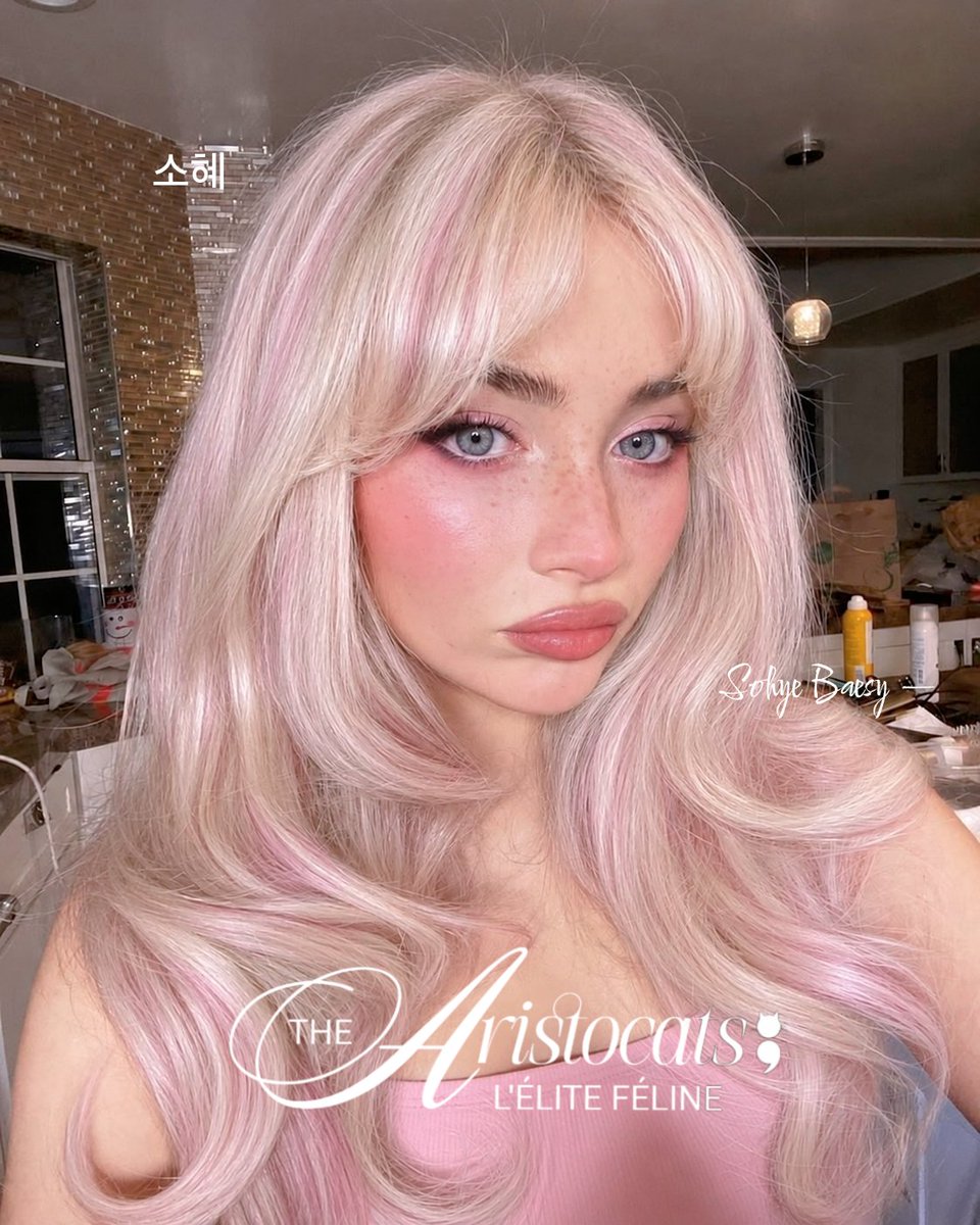 DREAMSOSIES's tweet photo. ㅤㅤ      ♡  ✧ 𝐒𝐨𝐡𝐲𝐞 𝐁𝐚𝐞𝐬𝐲  ਏਓ               ⋅    ˚ https://t.co/nZdomHhoVx