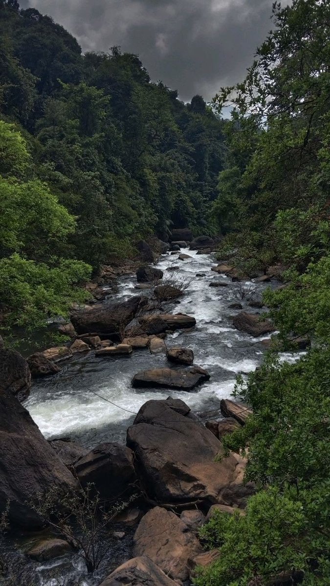 planet_peace02's tweet photo. Fresh air and green trees 🌲✨ https://t.co/nvpGEURbcy