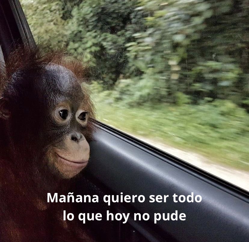 conoloracigarro's tweet photo. https://t.co/bOrM8UcA1m