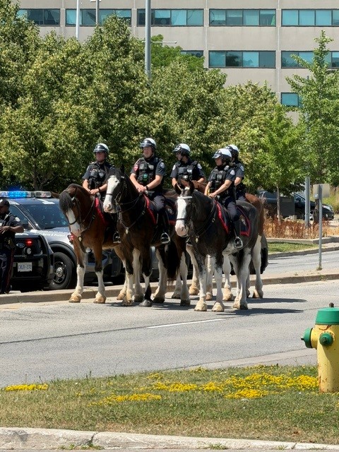 AssociationDrp's tweet photo. On behalf of the Durham Regional Police Association we would like to extend our sincerest gratitude to all of our fellow Police Associations, Services and Members of the Community who have reached out throughout the past week. The outpouring of tributes, sentiments and support from across the Country on the loss of such a wonderful Individual has been uplifting during what has been a very difficult time for family, friends and colleagues.

Tyrone Magbitang was a genuine individual. A considerate, kind and goal oriented member. A dedicated and hard worker who left an indelible impression with everyone he met. This loss will be felt by all for some time and he will be greatly missed💙
