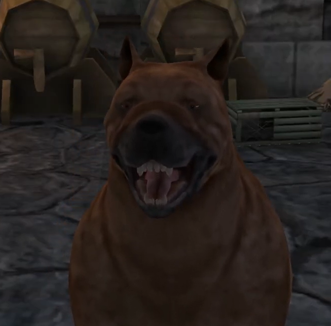 AsterInoru's tweet photo. Made myself cry reading that codex about Ostagar the mabari hound... I miss my Baby, and SirGuBoi and Hafter (from The Calling book)..

I am a cat person, but I LOVE MABARI HOUNDS

Look at this cute face, who wouldn't love that? https://t.co/kQZMtejRDq