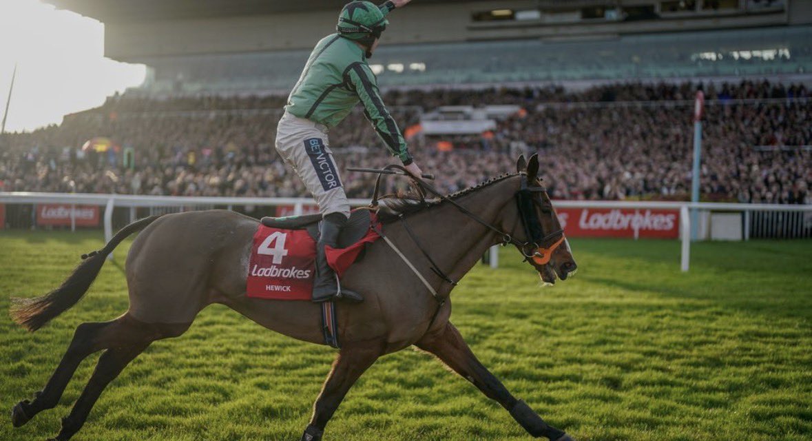 Owen🐎 tweet media