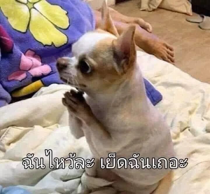DDelancydewin's tweet photo. มาเหอะกูไม่ได้กลัว5555555 
#อุดรธานี #อุดรในเมือง https://t.co/bv7iSu0OiW