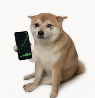 terryXXc_'s tweet photo. Solana just flamed Robinhood

Somehow have we not ran the opposite of cashcat

Cashcat is sitting at 150m

why would we want cash when all of ct is bullish on crypto, it should have always been cryptodog not cashcat

Everyone on CT wants crypto not cash, Cashdog will be the solana cashcat
https://t.co/TTBdj7hN5C