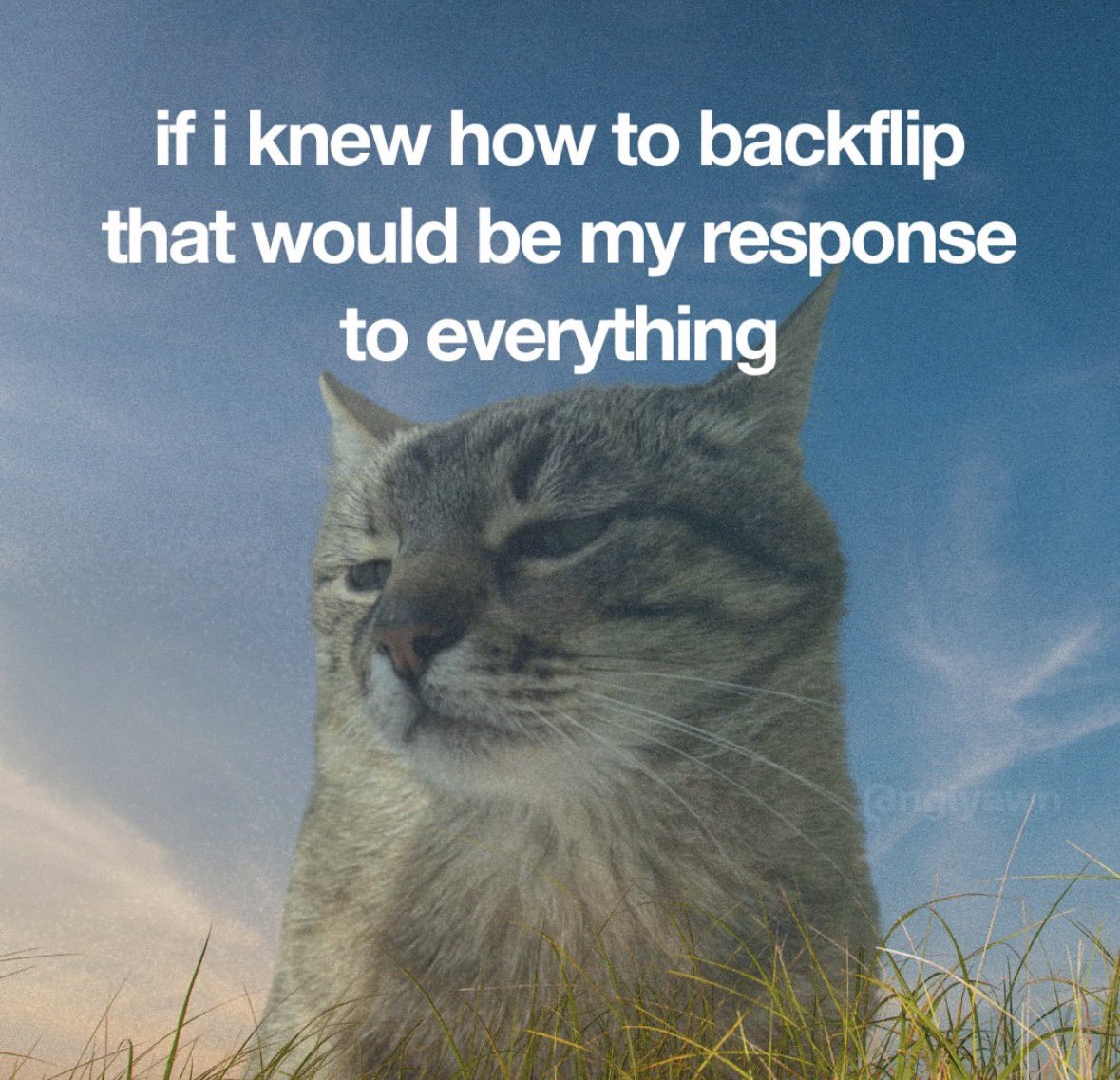 literallymecats's tweet photo. https://t.co/OpAsZoqVrD