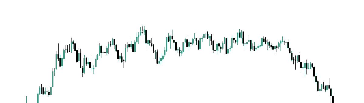 RealTraderTim tweet media