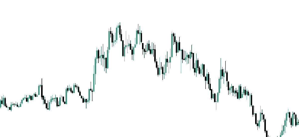 RealTraderTim tweet media