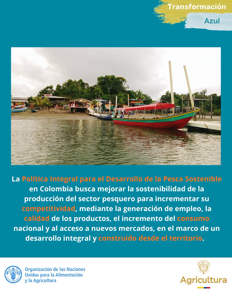 FAO_Colombia's tweet photo. 🎣 La Política Integral para el Desarrollo de la Pesca Sostenible en 🇨🇴 es un instrumento orientador construido para modernizar la gestión y promover una visión sostenible y socialmente inclusiva, fortaleciendo los medios de vida de las comunidades pesqueras. 🌱 https://t.co/2aBuuiJpGQ