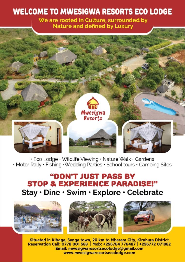 Mwesigwa_Resort's tweet photo. Wake up refreshed in the comfort of our cozy cottages at Mwesigwa Resorts. 🌿🛏️

Designed with naturally cool bamboo interiors and traditional grass-thatched roofs, every stay offers the perfect blend of comfort, fresh air, and authentic Ugandan charm.

Book your escape today. 🍃✨

#MwesigwaResorts #ComfortInNature #EcoStay