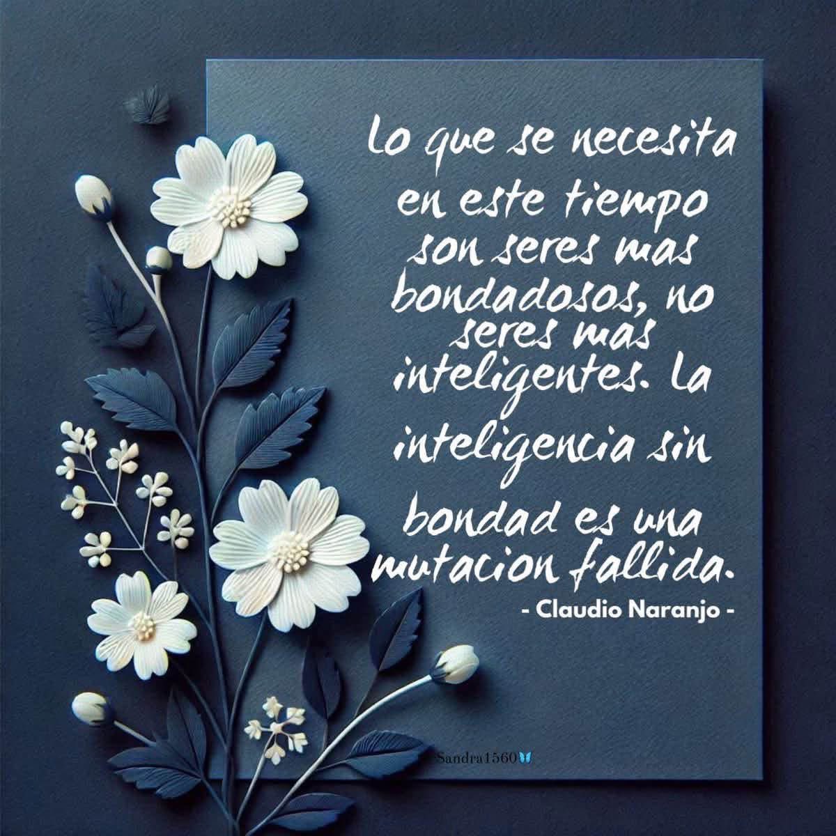 Tita1514's tweet photo. La bondad  nos abre puertas día con día y la inteligencia nos ayuda a comprender por qué hay que ser bondadosos sólo practícala y verás un mundo lleno de amor 🧡 🙏🦋🫶🫰💖🌸🌼🌻🤎☕️🪽💚☀️🫂 https://t.co/ExPKBEnBbG