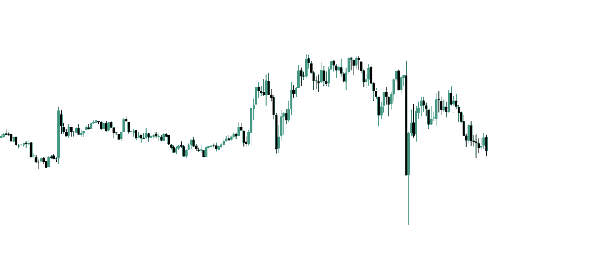 RealTraderTim tweet media