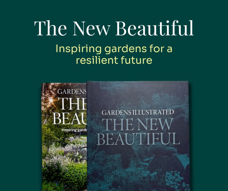 GdnsIllustrated tweet picture