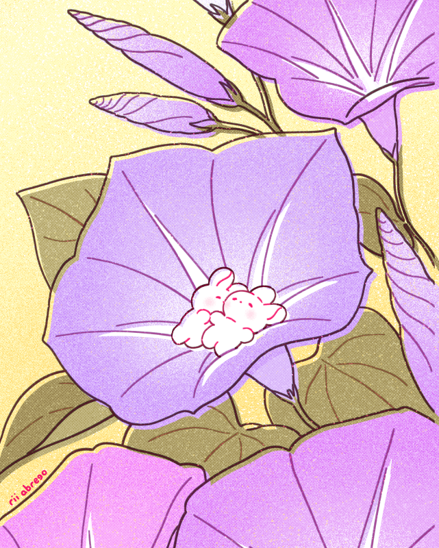 riibrego's tweet photo. morning glory (wallpapers available below!) https://t.co/WgHGXUpfyf