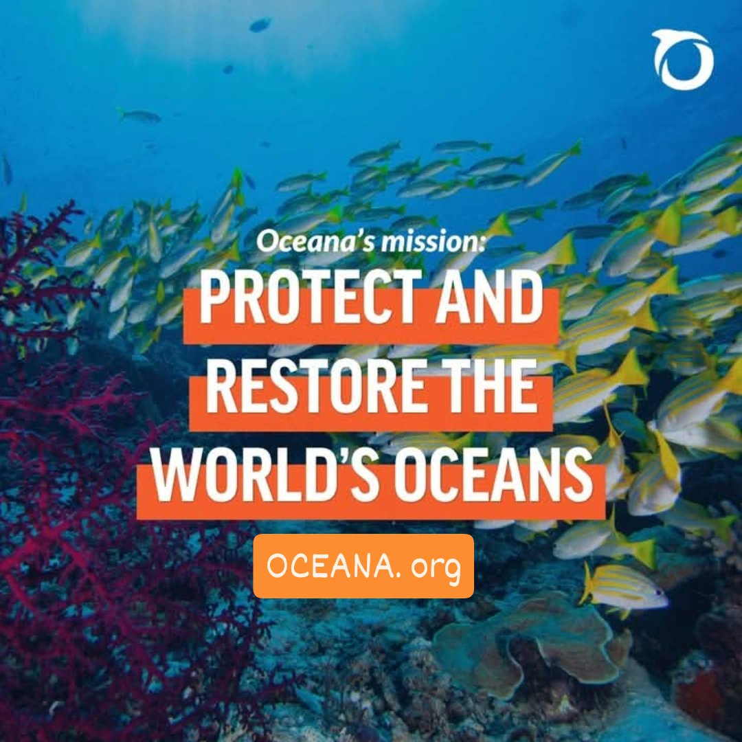 baernrich's tweet photo. @_elleMARz Stay Merry and Bright. 😆 Fairly sure u won't reply, I get it. You definitely have the comfort of the camera, not everyone can do solo conversation. Seems ur getting that niche market. Good for you. Glad you don't do dicks on camera. 😜. Love our OCEANS. https://t.co/JNJNnfuR8V