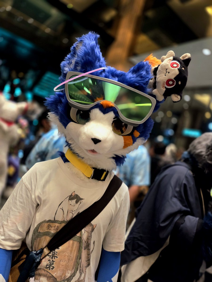 miller_mira0729's tweet photo. 颱風天要記得注意安全喔!

📷：芒果柳丁
#FursuitFriday #UTFG2026 https://t.co/Znab0e3uKm
