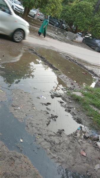 Atul_Sanghi's tweet photo. Requesting immediate cleaning of the common drain near Plots 63, 64 &amp; 65, G Block, Sector 63, Noida. The drain is clogged, causing water stagnation, foul odor, and mosquito breeding. Kindly take urgent action. @dmgbnagar @NoidaAuthority @noidajal #CleanNoida #Noida https://t.co/lWskppGBED