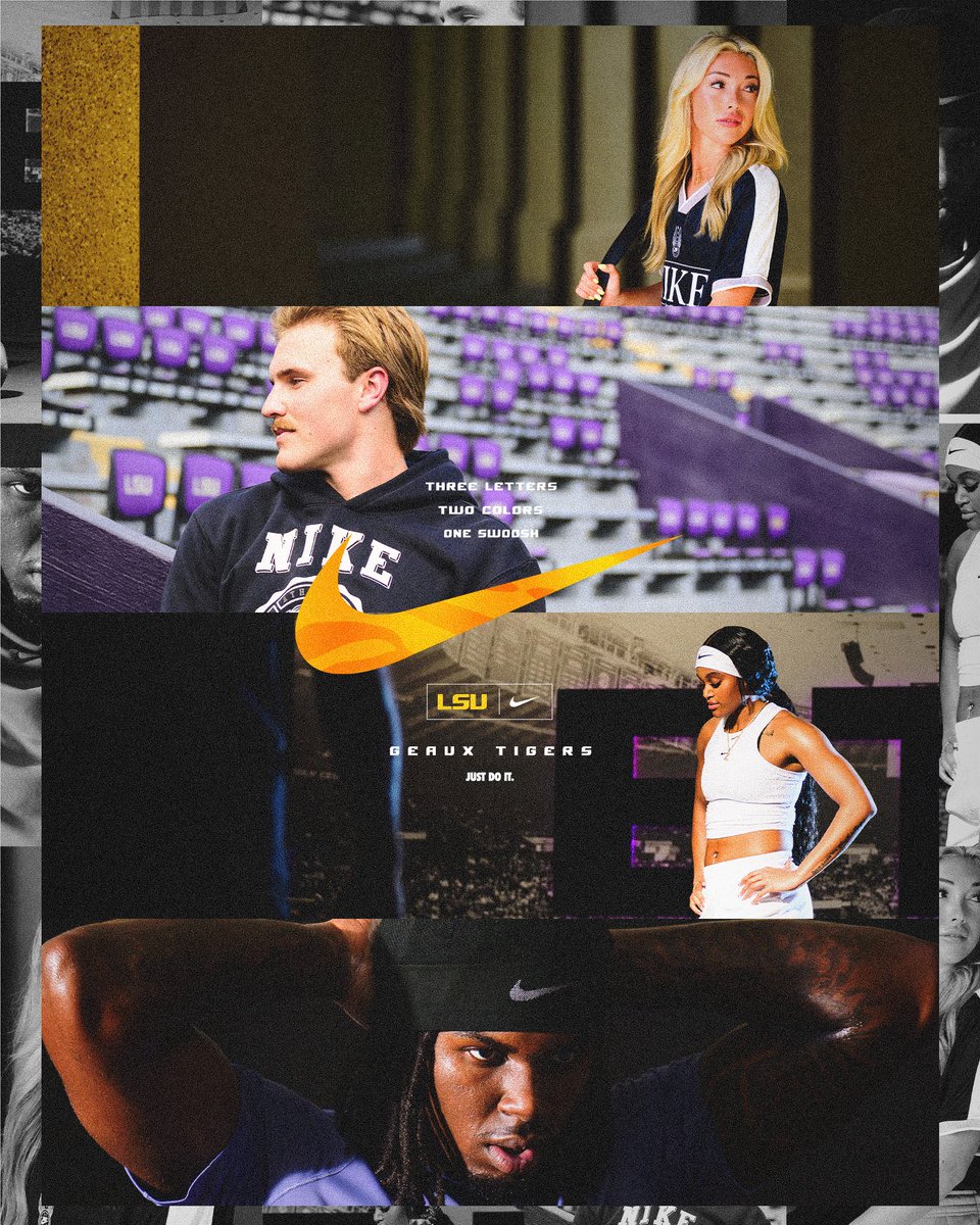 LSU Tigers tweet media