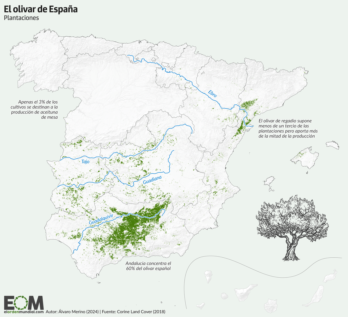 gomezdetejada's tweet photo. Distribución del olivar en España.

España cuenta con 340 millones de olivos y una superficie de casi 3 millones de hectáreas.

Vía @elOrdenMundial 👇
https://t.co/i83tknNwEq https://t.co/vEJohSJKVD