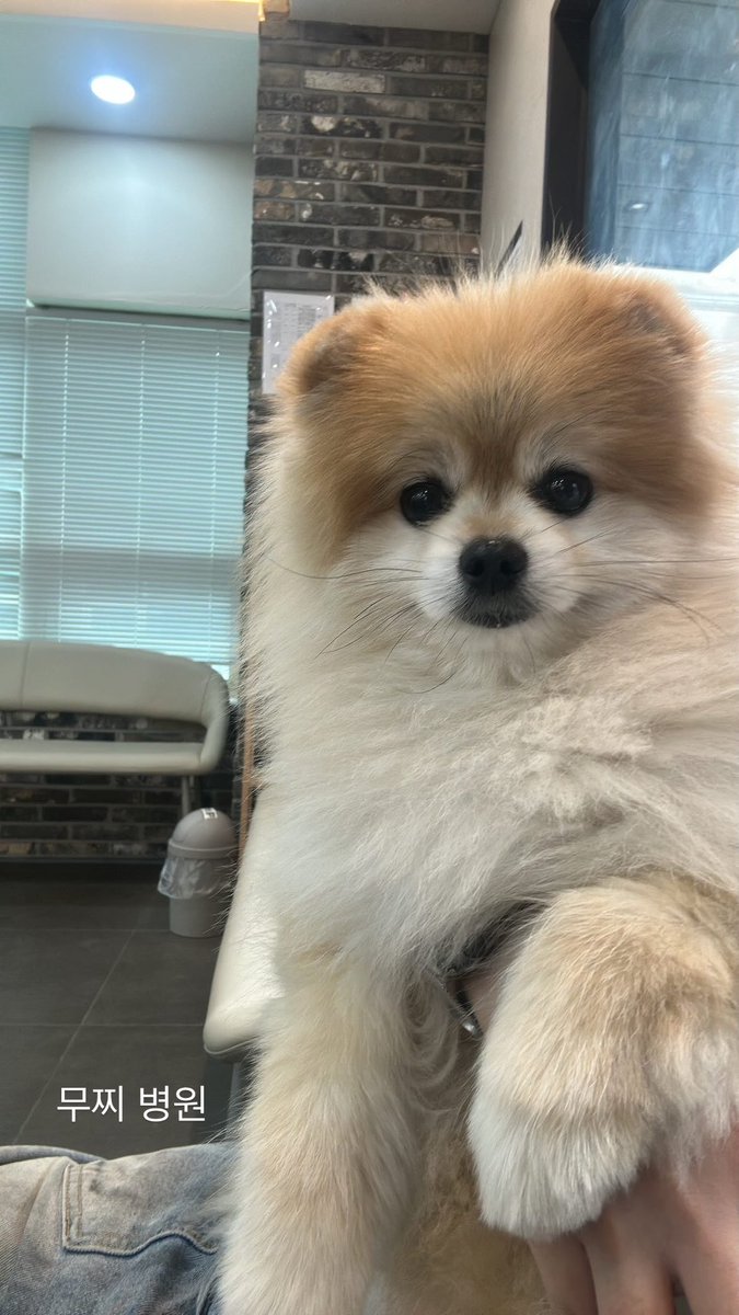 mozziabba's tweet photo. 병원가는남자 https://t.co/VrWHdpgcSN