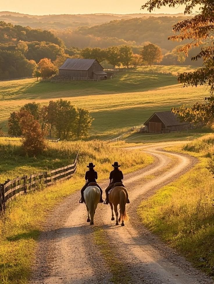 earthwhisperss's tweet photo. Countryside, England https://t.co/drjH0q0jeJ
