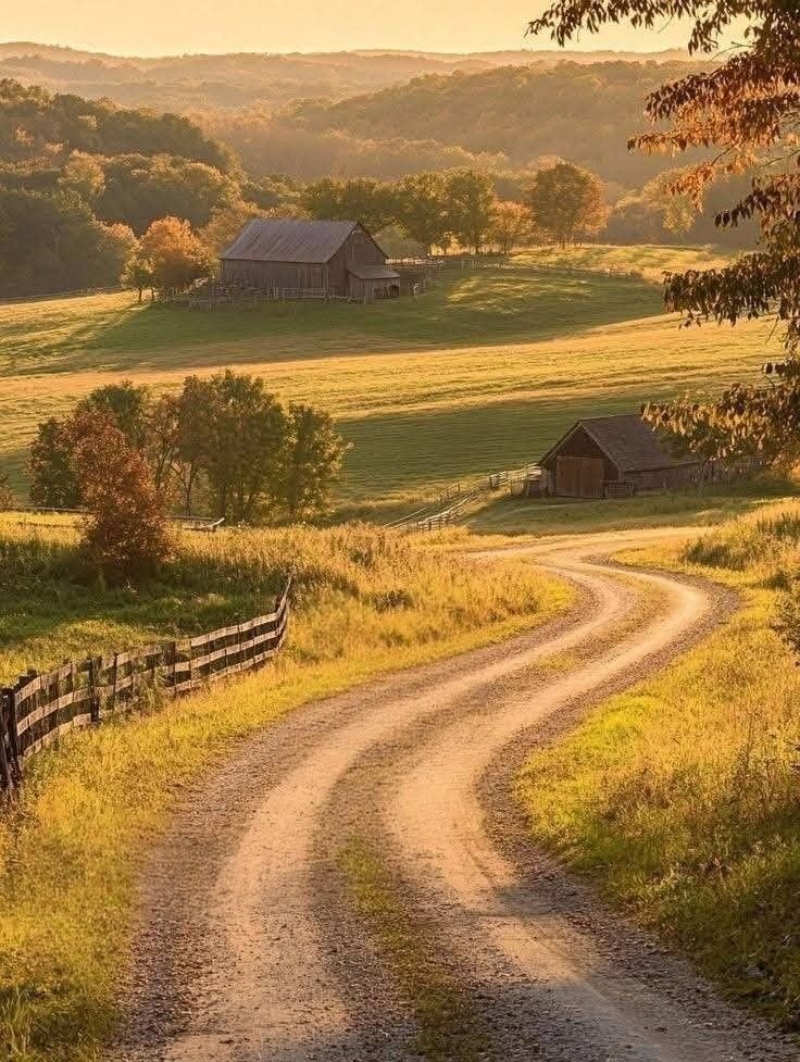 earthwhisperss's tweet photo. Countryside, England https://t.co/drjH0q0jeJ