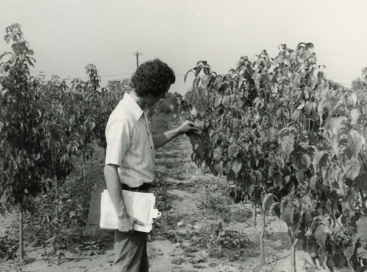 GaDeptAg's tweet photo. Georgia #AgHistory Spotlight | In July of 1977, the GDA implemented pesticide certification requirements. 

These standards served to professionalize chemical use across the state while improving safety for Georgia’s farmers.  

Moments like these helped shape Georgia’s strong agricultural history, which we continue building on today.