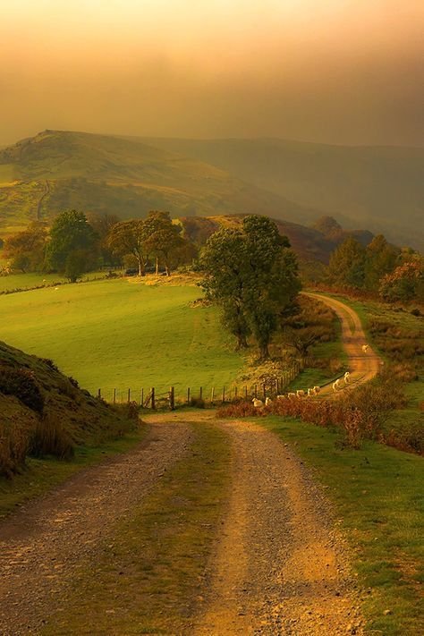 earthwhisperss's tweet photo. Countryside, England https://t.co/drjH0q0jeJ