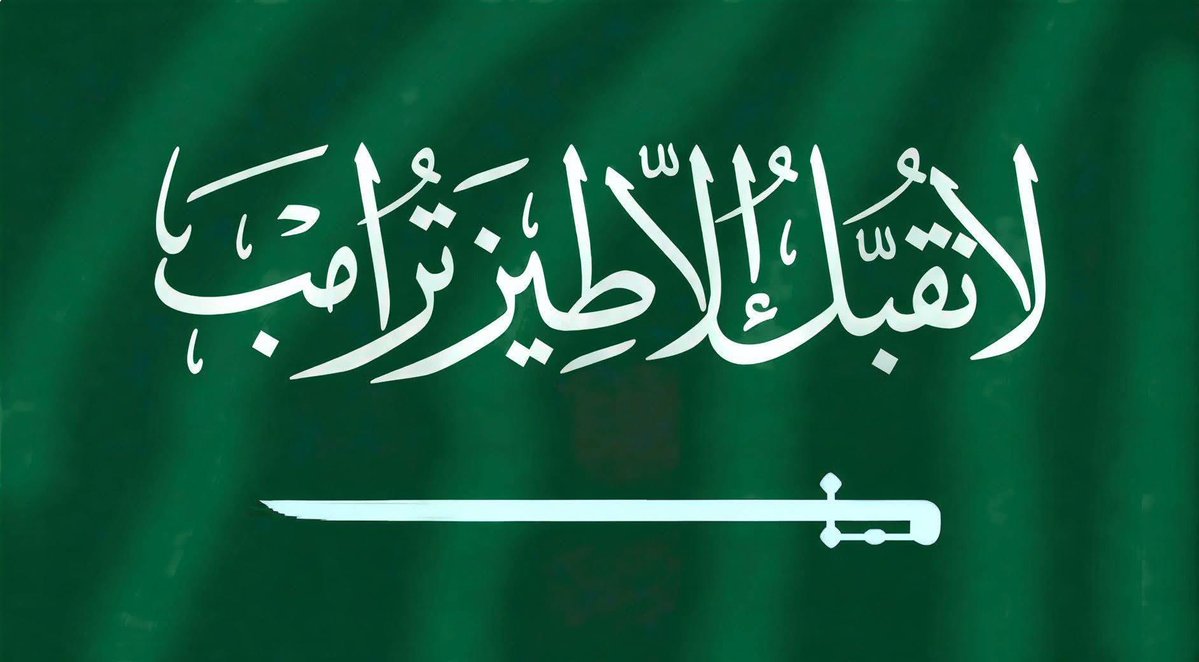 Damage_Incrprtd's tweet photo. @fas1404 @qht_haifa هذا مقامك انت و ولي عهدك و بلدك يا ضب طويز 
🤣🤣🤣 https://t.co/0NQImVi05n
