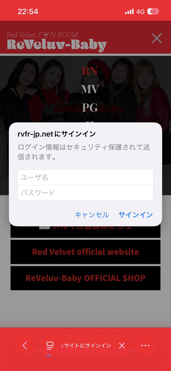 mimemn3's tweet photo. レドベルここから一生進めません
メールに来たIDとパスワードも試したけど入れない https://t.co/W9Bhcl7JhB