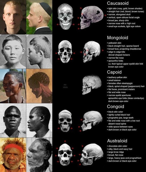 RudolfRitler_83's tweet photo. @TheCelticLass Race is not just skin color
Enough said https://t.co/Srcq7R7T2l