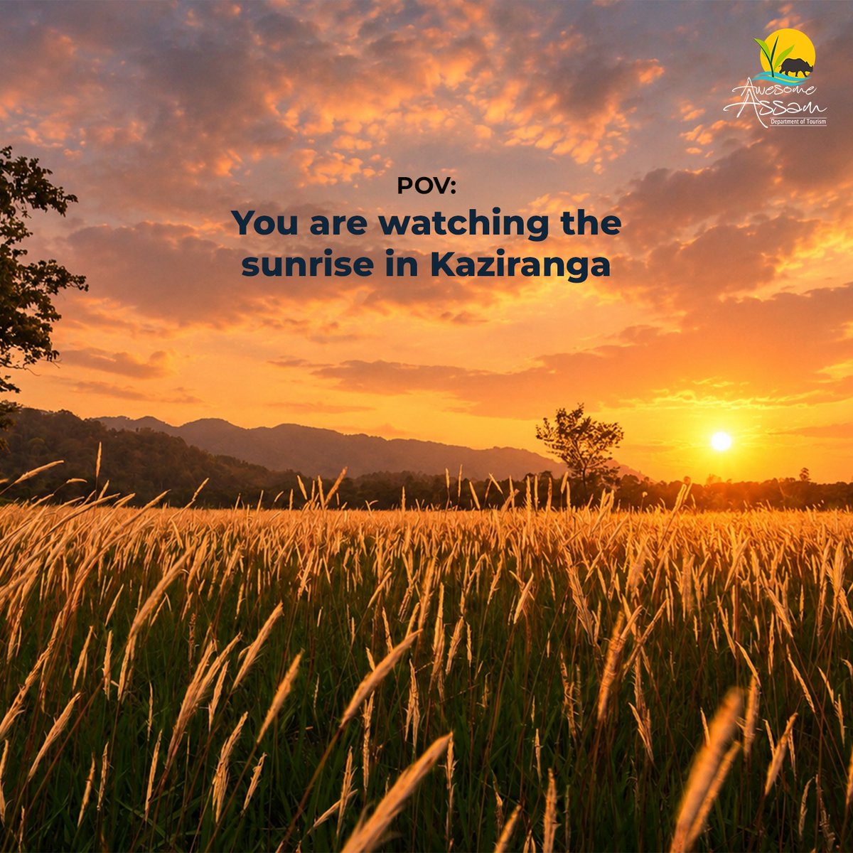 aweassam's tweet photo. Which POV would you love to experience first?
#AwesomeAssam
#ExploreAssam
#TravelAssam
@CMOfficeAssam 
@himantabiswa 
@AjantaNeog https://t.co/3GqnwsmFnX