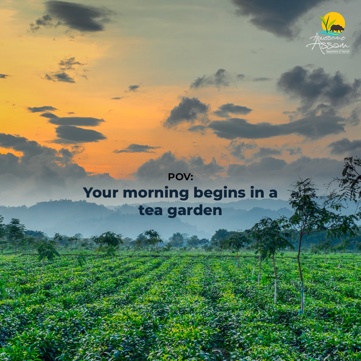 aweassam's tweet photo. Which POV would you love to experience first?
#AwesomeAssam
#ExploreAssam
#TravelAssam
@CMOfficeAssam 
@himantabiswa 
@AjantaNeog https://t.co/3GqnwsmFnX